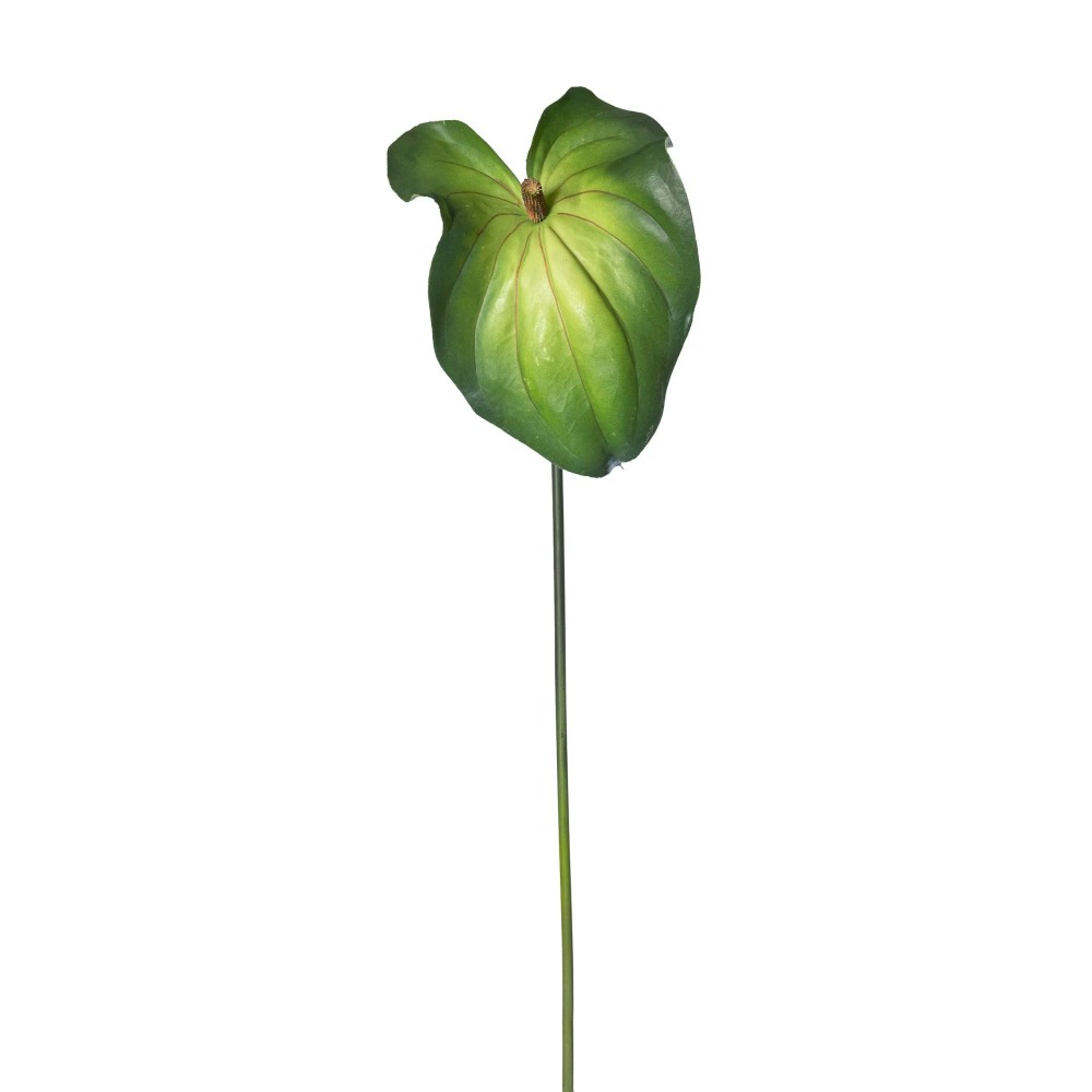 JANT ANTHURIUM LT GREEN 90CM